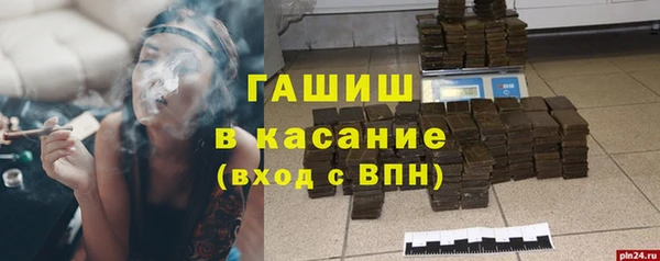 прущие грибы Сосновоборск