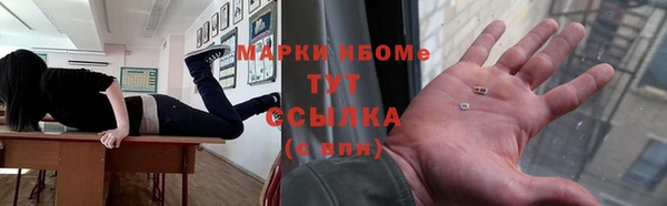 гидра Аркадак