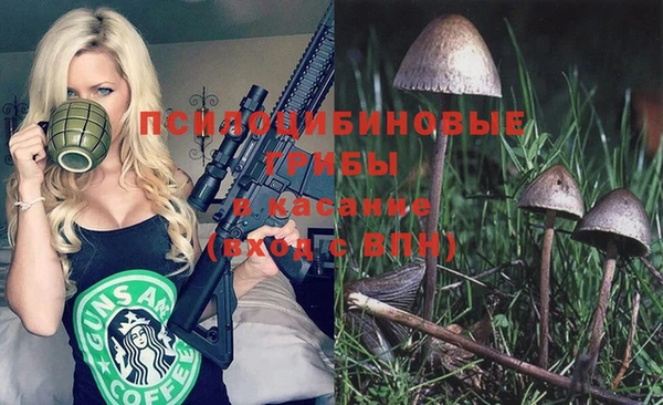 apvp Сосновка