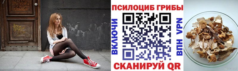 Псилоцибиновые грибы GOLDEN TEACHER  где найти   Волчанск 